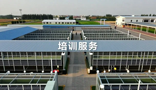 户外场地中的教育咨询解决方案介绍